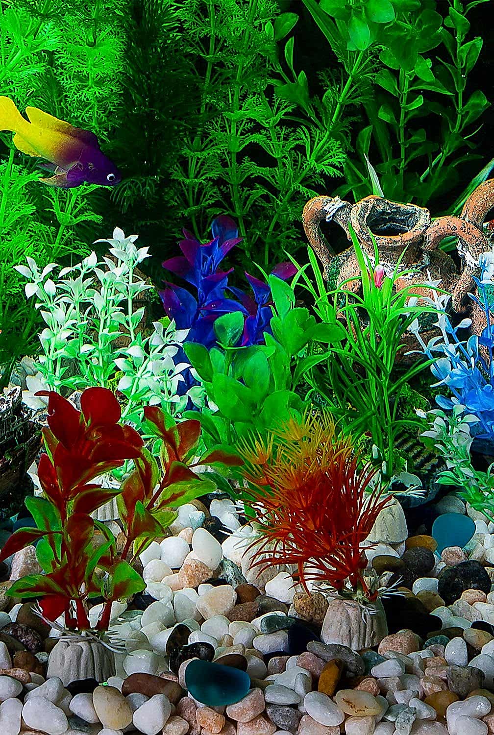 Akvaryum Ekipman ve Aksesuarları