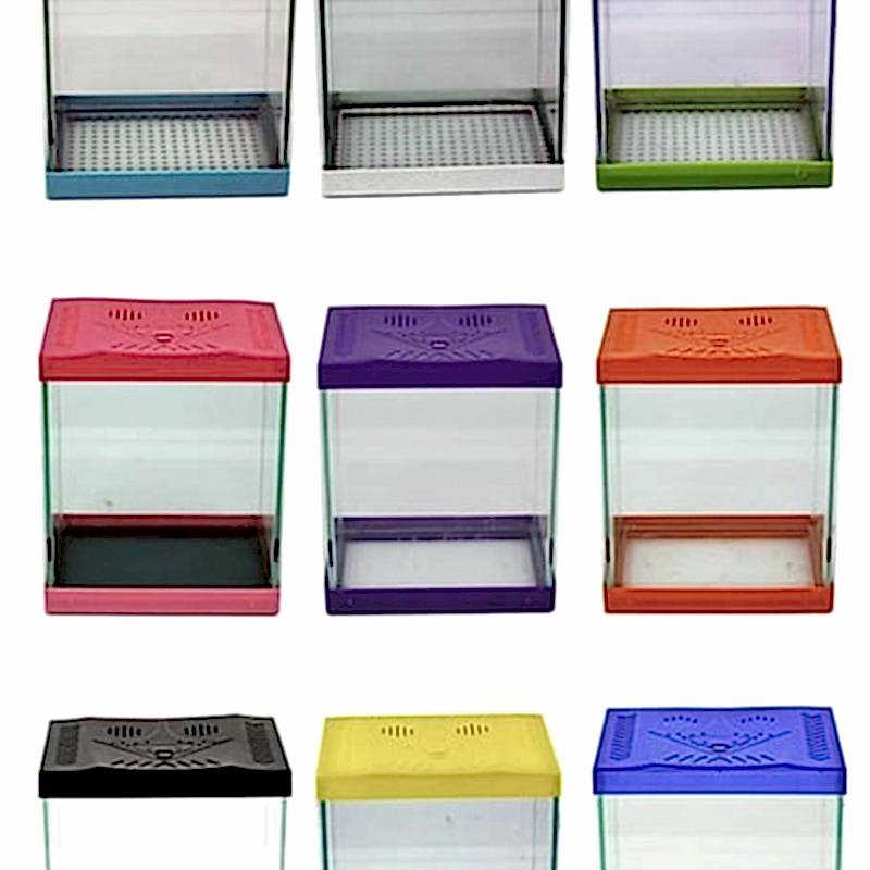 MİNİ AKVARYUM RENKLİ KAPAK 20*15*20