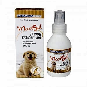 Maxisol Yavru Köpekler İçin Tuvalet Eğitim Spreyi 100 cc