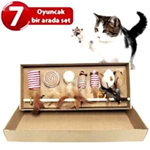 Nunbell Kedi Oyuncak Olta Set