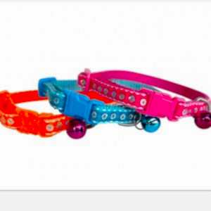 Maxi Life Kedi Boyun Tasması