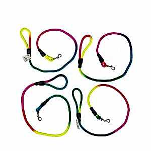 Renkli Fitil Köpek Gezdirme 12mmx120cm