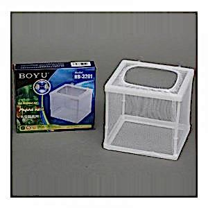 Boyu Tül Yavruluk Küçük Boy