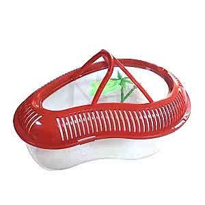 Kapaklı Kaplumbağa Bahçesi