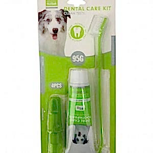 Nunbell Dental Kıt Naneli 3'lü Set