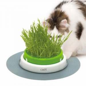 Hagen Catit Senses Grass Planter Kedi Çim Seti