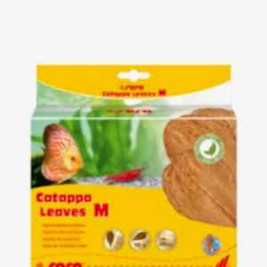 Sera Catappa Yaprağı M 18 Cm 10lu Paket