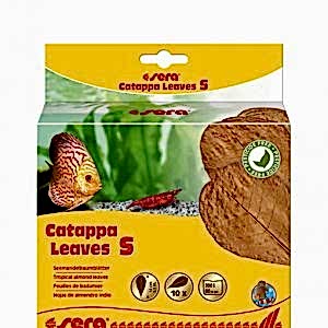 Sera Catappa Yaprağı S 14 Cm 10lu Paket