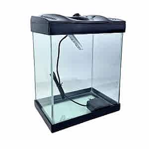 30 Cm Lambalı Lüx Akvaryum 30*21*30 SİYAH