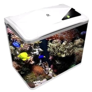 Fivestar 60Cm İthal Akvaryum 59*35*45