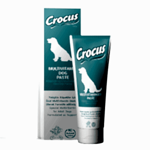 Crocus Multivitamin Paste Köpek Macunu 100 Gr